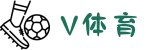 V站体育-V体育官方网站-VSPORT